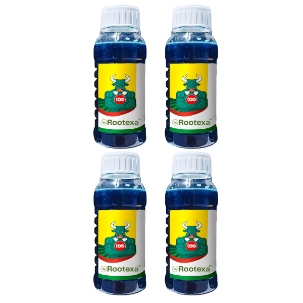 Rootexa™ DE - P Unkrautvernichter — Schnell wirkendes Kontaktspray — 1 L gebrauchsfertig