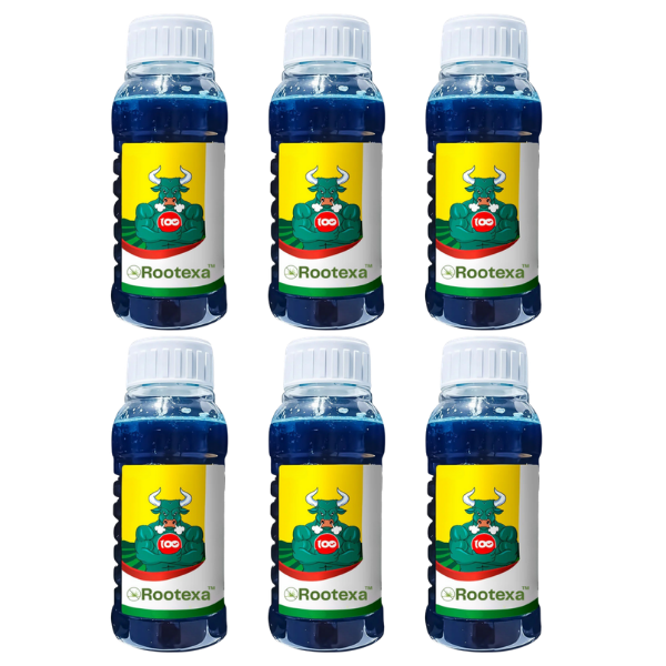 Rootexa™ DE - P Unkrautvernichter — Schnell wirkendes Kontaktspray — 1 L gebrauchsfertig